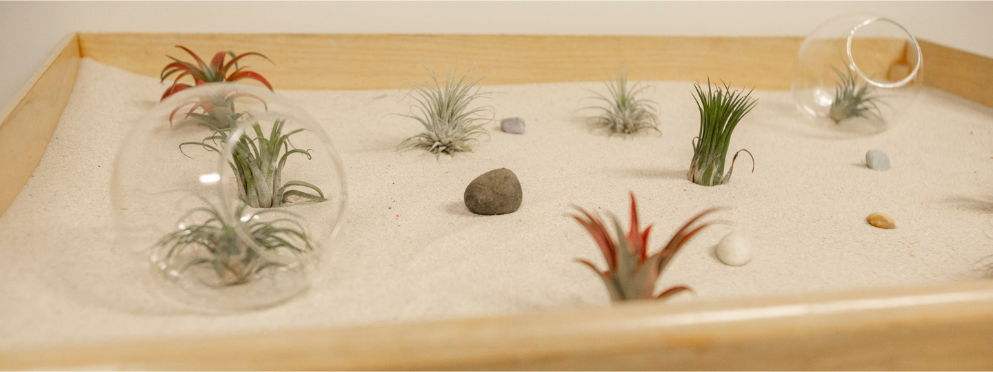 Zen Garden | Wellspring Psychology