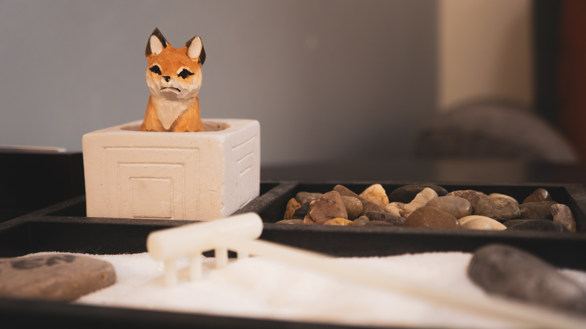 little fox in fox room | Wellspring Psychology