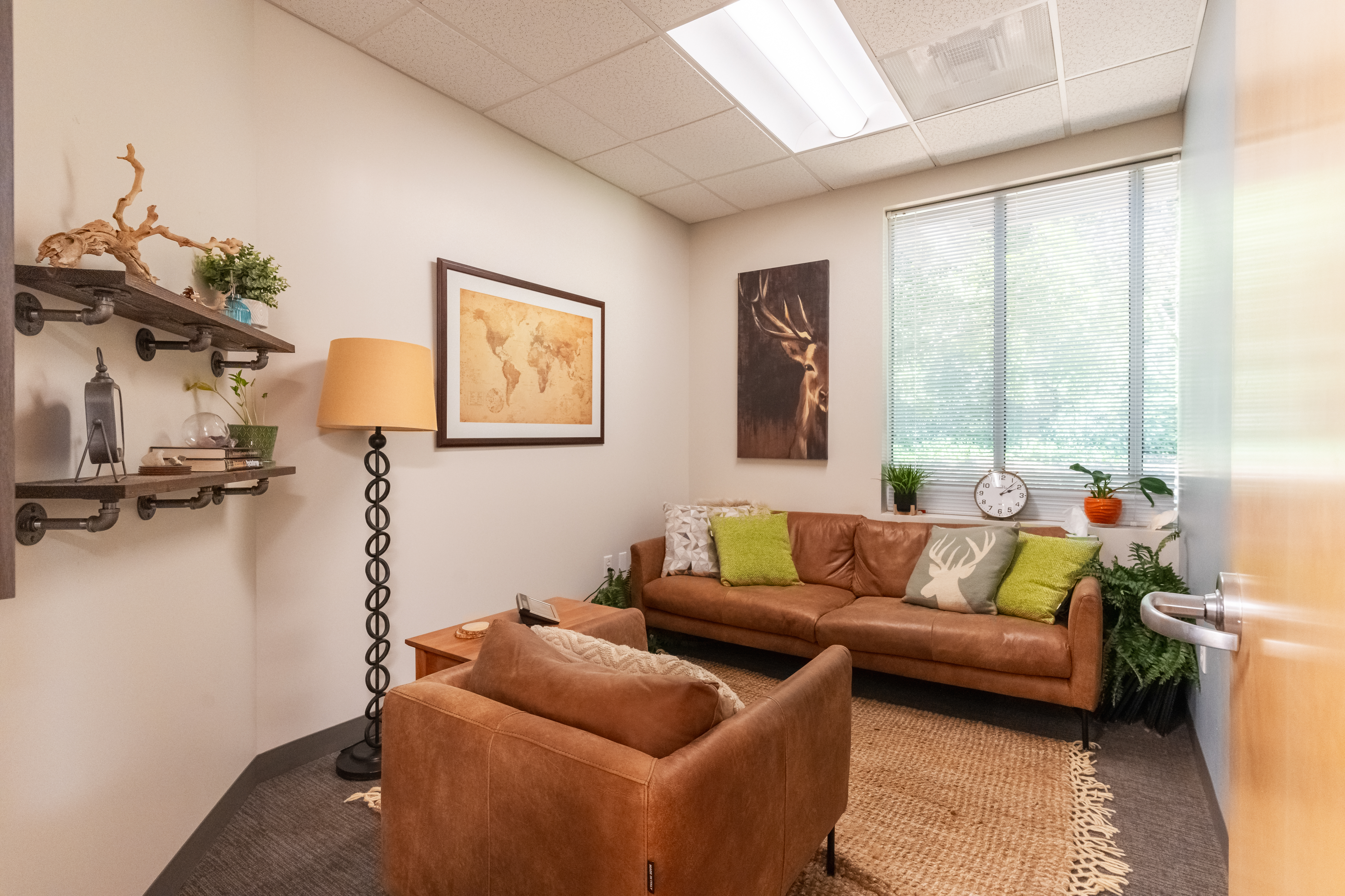 deer therapy session room at wellspring psychology